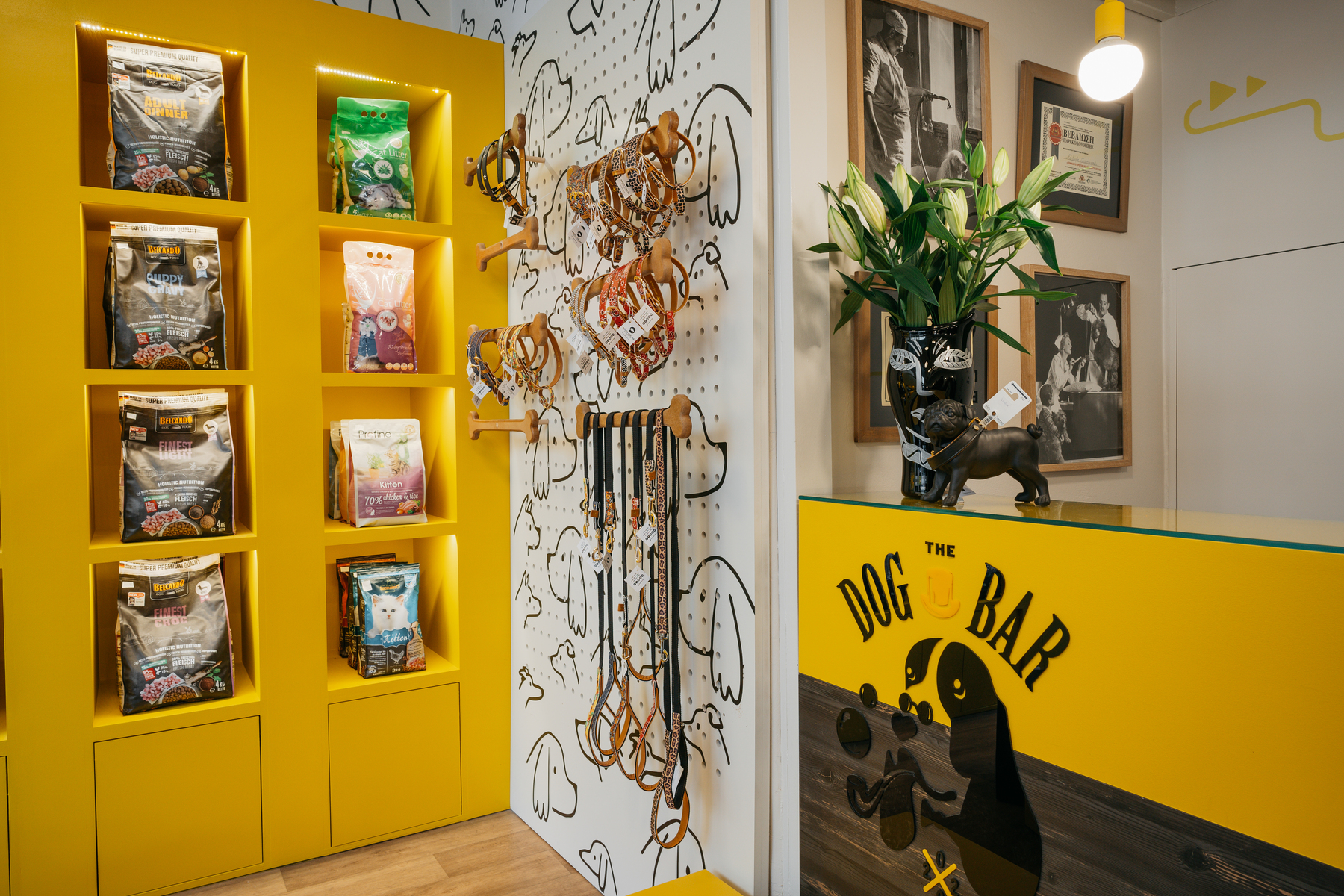 Ο χώρος μας